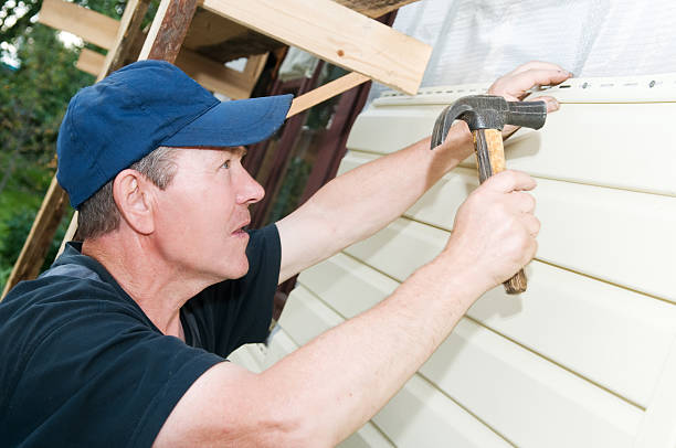 Best Aluminum Siding Installation  in Grand Meadow, MN