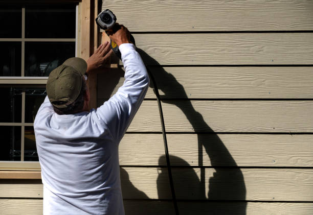 Best Siding for New Construction  in Grand Meadow, MN