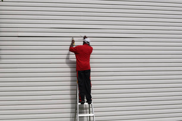 Professional Siding in Grand Meadow, MN
