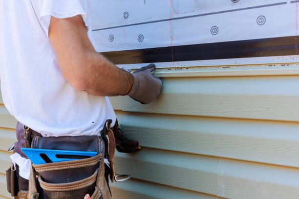 Best Stone Veneer Siding  in Grand Meadow, MN